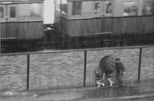 Regenschauer am S-Bahnhof Nöldnerplatz : Straßenszene am S-Bahnhof Nöldnerplatz (Blick aus der Wohnung des Fotografen bei einem Regenschauer)