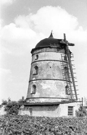 Uebigau-Wahrenbrück-Kauxdorf. Wallholländer, Baujahr 1889