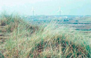 Norderney: Windkraftwerke