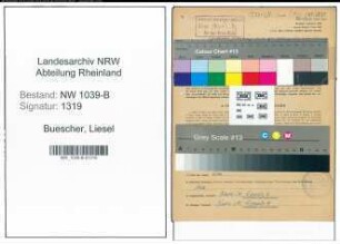 Entnazifizierung Liesel Buescher , geb. 29.11.1922 (Angestellte)
