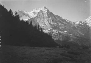 Die Spritzkarspitze : Blick von einer bewaldeten Bergkuppe auf den Berg Spritzkarspitze