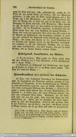 Fesselgelenk, krankhaftes, der Rinder