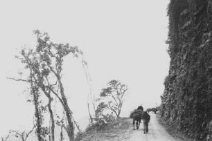 Bei Tequendama (Lateinamerika-Aufenthalte 1934/1942 - 2. Kolumbien 1934-1937)