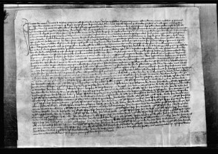Der Propst von St. Wido in Speyer bestätigt die Pfründstiftung WR 11 285.
