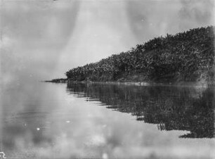 Insel Idjwi : Die Küste der Insel Idjwi im Lake Kivu