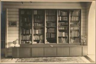 Wohnung. Inneneinrichtung: Bücherschrank