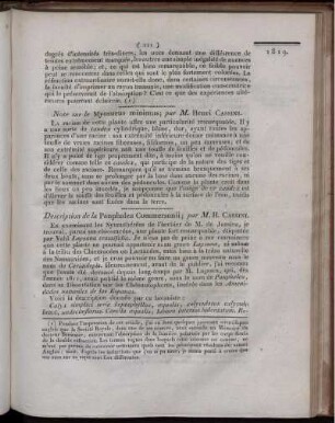 Description de la Panphalea Commersonii;