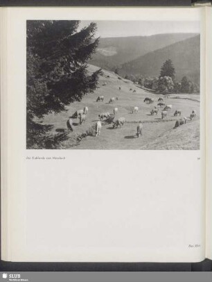 Die Kuhherde von Manebach