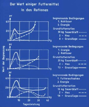 Der Wert einiger Futtermittel in den Rationen