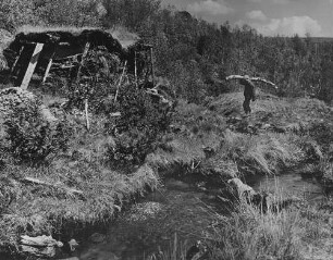Archivfotografie "ausland_finnland_on04"