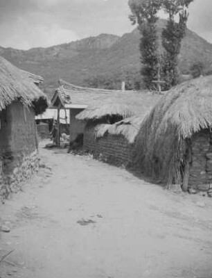 Dorf Kozai in Nordkorea : Dorfstraße mit Hütten