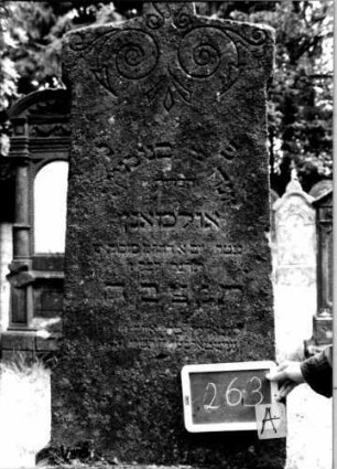 Grabstein 263 [Nir S. 183 Nr. 16.25]: Grabstein 263A [Nir S. 183 Nr. 16.25]