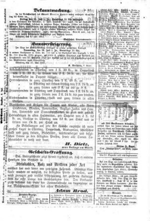 Würzburger Anzeiger. Mittagsblatt. 1867,7/12