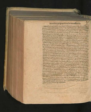 Mendae typographicae sic emendandae.