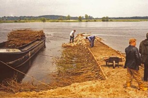 Grundinstandsetzung Strombuhne (3)