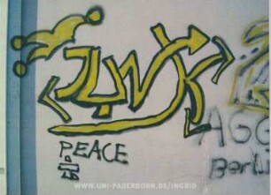 JUNK Fuck ICP