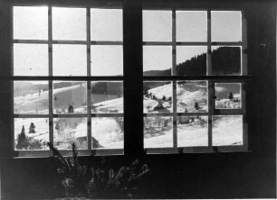 "Blick aus der Hütte"
