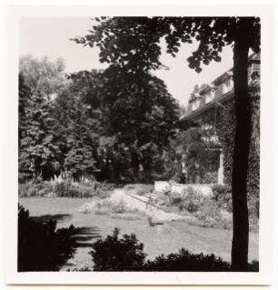 Garten Dr. Voss: Terrasse Sommergarten