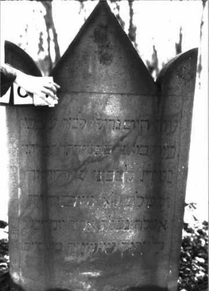 Grabstein 503