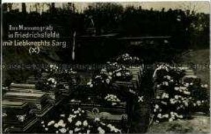 Der Sarg Karl Liebknechts im Massengrab auf dem Friedhof Friedrichsfelde