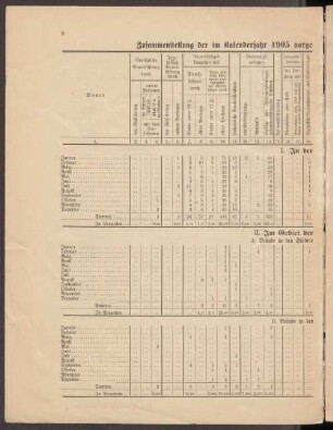 Zusammenstellung der im Kalenderjahr 1905 vorgekommenen Brände mit Angabe ihrer Entstehungsursachen.