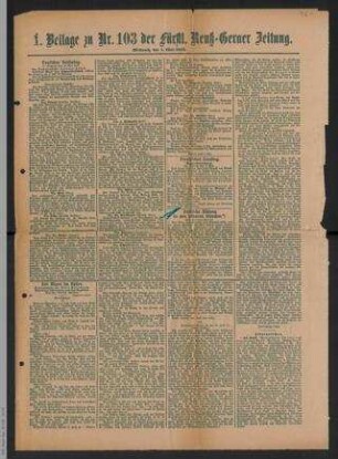 Politische Bildung in den höheren Ständen