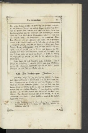 XII. Die Ureinwohner. (Indianer).