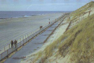 Westerland: Schild in den Dünen, Halmpflanzung, Dünen Befestigungen