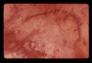 Font-de-Gaume: SW090213