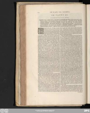 Exercitatio XXVIII.