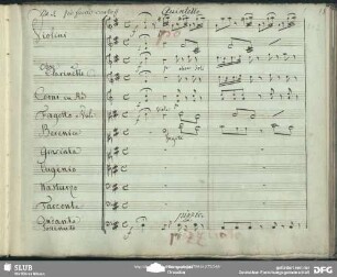 Quintetto: "Passo passo"