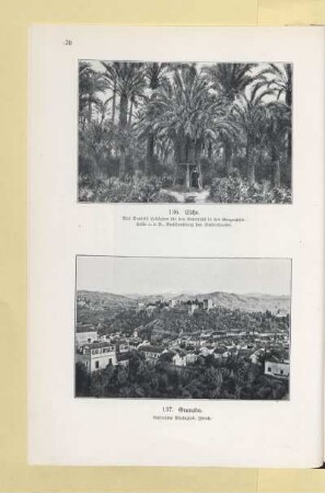 136. Elche