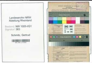 Entnazifizierung Gertrud Schmitz , geb. 06.06.1900 (Sekretaerin)