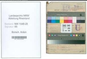 Entnazifizierung Anton Borsch , geb. 23.02.1894 (Postbeamter)