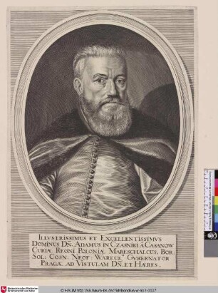 Adamus in Czasniki á Casanow [Porträt des Adam Kazanowski]