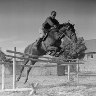 Reitsport in Peruschtiza