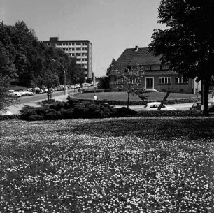 Sülzberg: vorn Blumenrabatten des Kurparks: links Bangertstraße mit Hochhaus der Kreisverwaltung [später Gebäude B]: rechts Verwaltungsgebäude des Amtes Oldesloe-Land
