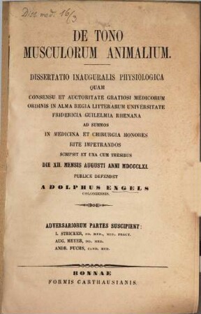 De tono musculorum animalium : Diss. inaug. physiologica