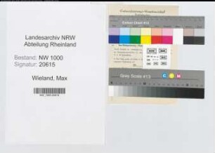 Entnazifizierung Max Wieland, geb. 00.00.0000 ()