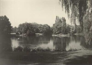 Albertpark : Leipzig, Albertpark, Albertparkteich von Süden