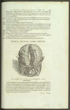 De Humani corporis fabrica librorum (Anatomie Gehirn). S. 607 aus: Andreae Vesalii Bruxellensis suorum de Humani corporis fabrica librorum Epitome. Dresden: SLUB Anat.A.20