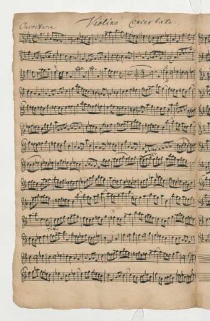 Violino Concertato