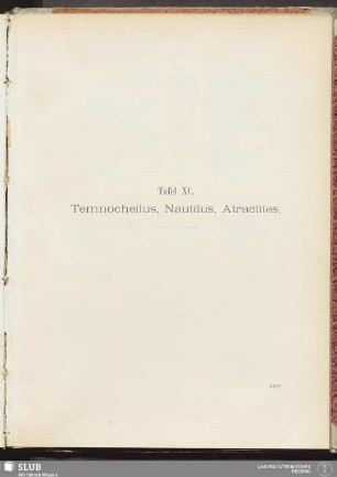 Tafel XC. Temnocheilus, Nautilus, Atractites
