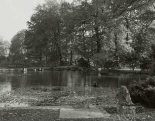 Teich, Kamenz (Kreis Kamenz)