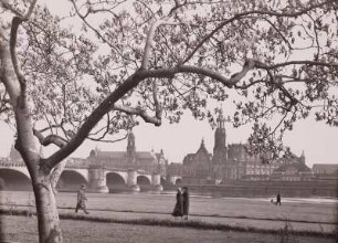 Dresden, Blick vom Neustädter Elbufer in Höhe des Japanischen Palais nach Südosten auf die Altstadt