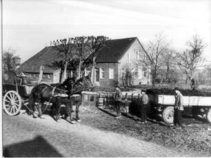 Foto, Petkum, Emden