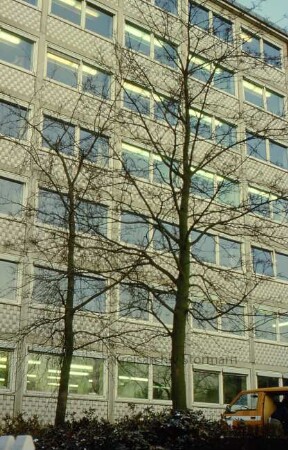Hochhaus: Frontseite