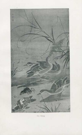 Lin Liang
