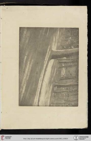 [Alvin Langdon Coburn, IV. Winter Shadows, photogravure from enlarged negative]