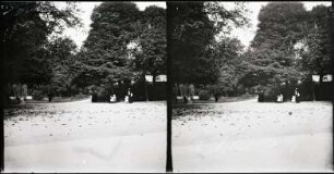 Paris. Jardin des Champs-Élysées